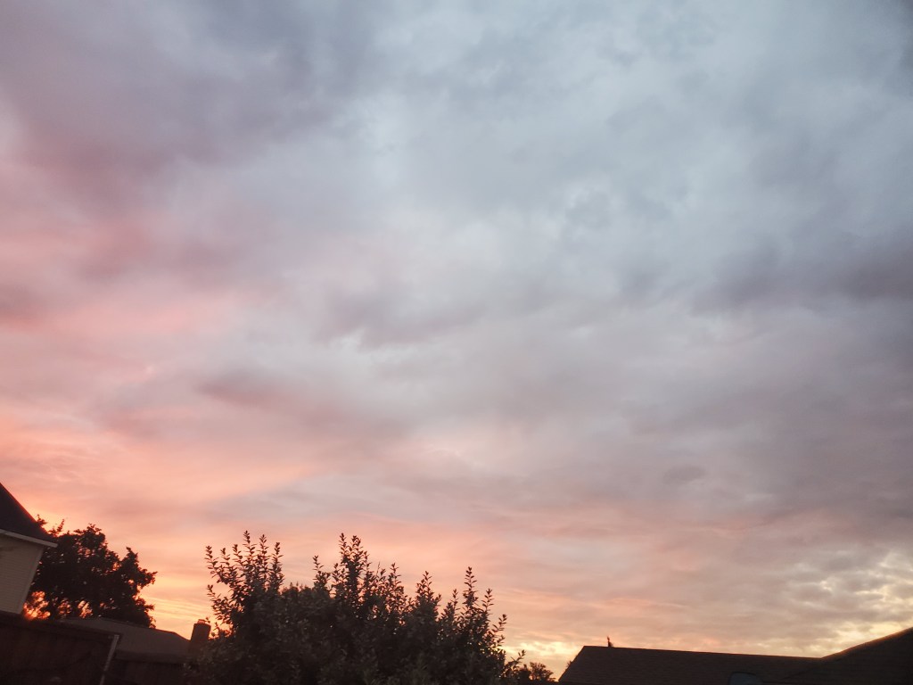The sky is filling with pink, blue and orange clouds. The tops of trees and a fence can be seen at the bottom of the picture. 
