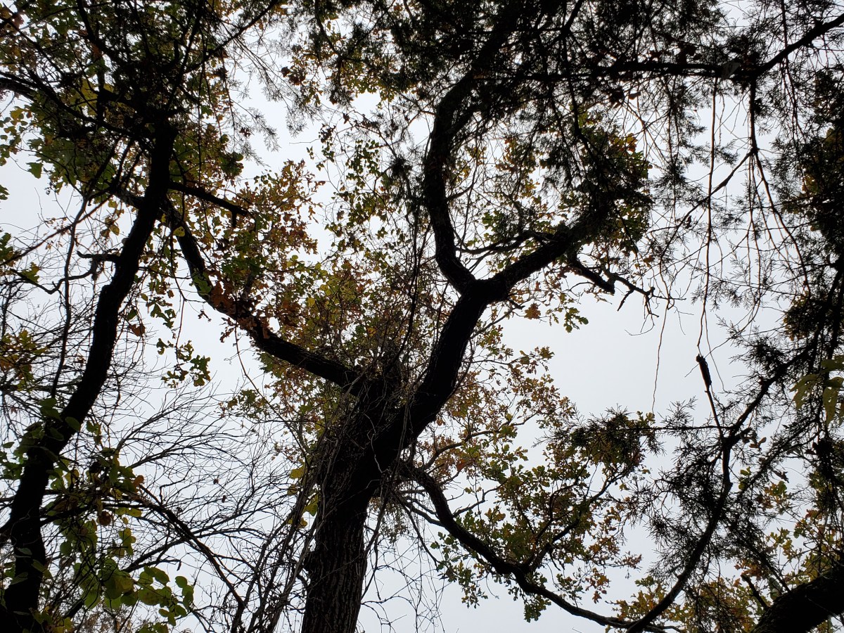 Weekly Post: All those details&nbsp;though….